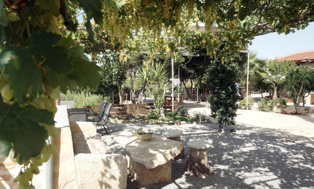 Studio Panagiota - Oasis Holiday Houses Кокинос Пиргос Екстериор снимка