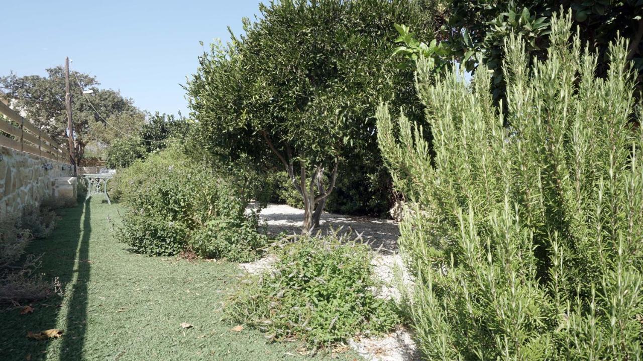Studio Panagiota - Oasis Holiday Houses Кокинос Пиргос Екстериор снимка