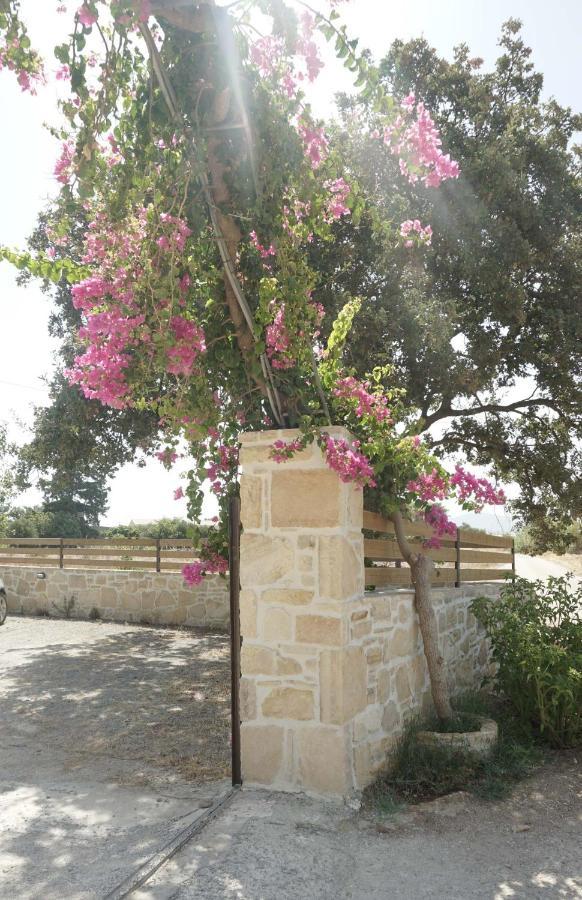 Studio Panagiota - Oasis Holiday Houses Кокинос Пиргос Екстериор снимка