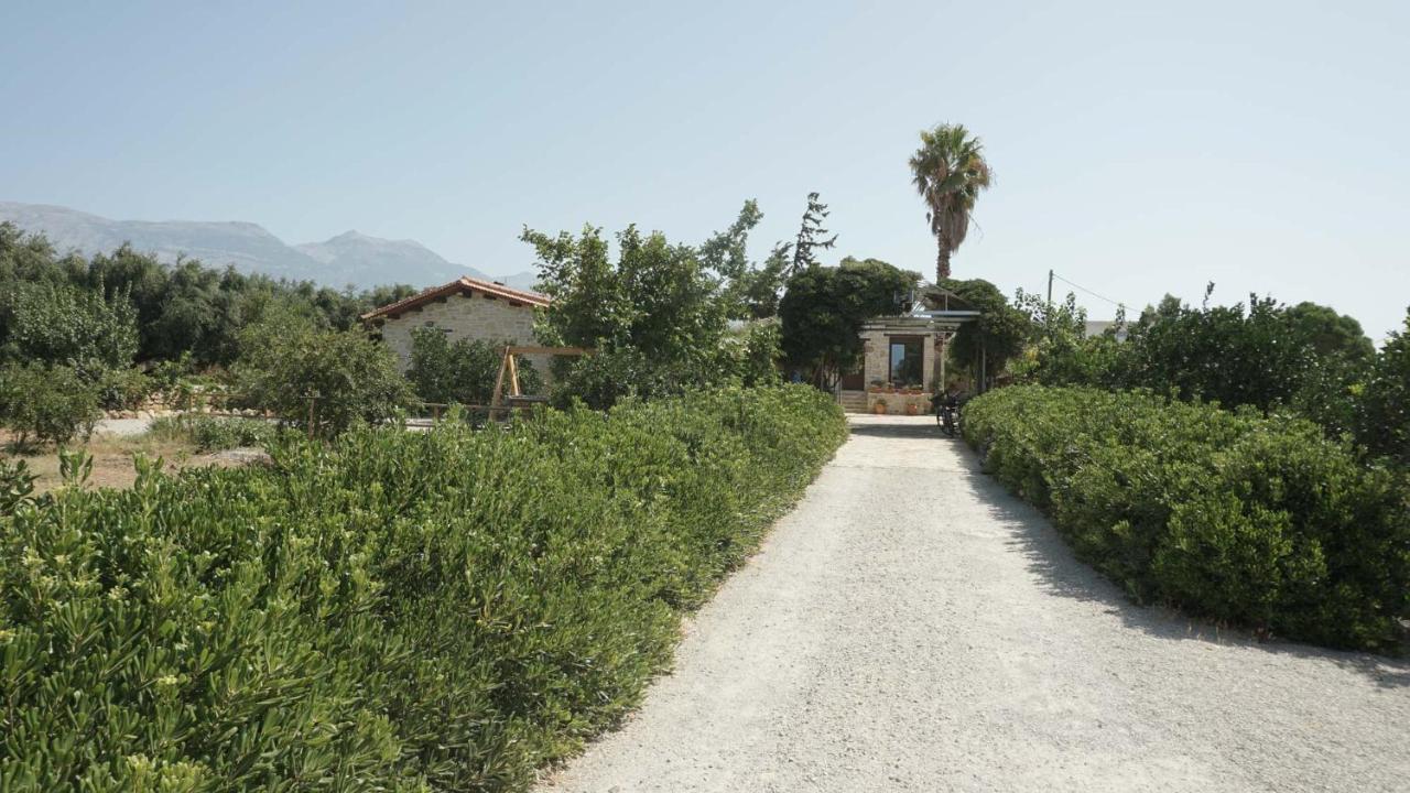 Studio Panagiota - Oasis Holiday Houses Кокинос Пиргос Екстериор снимка