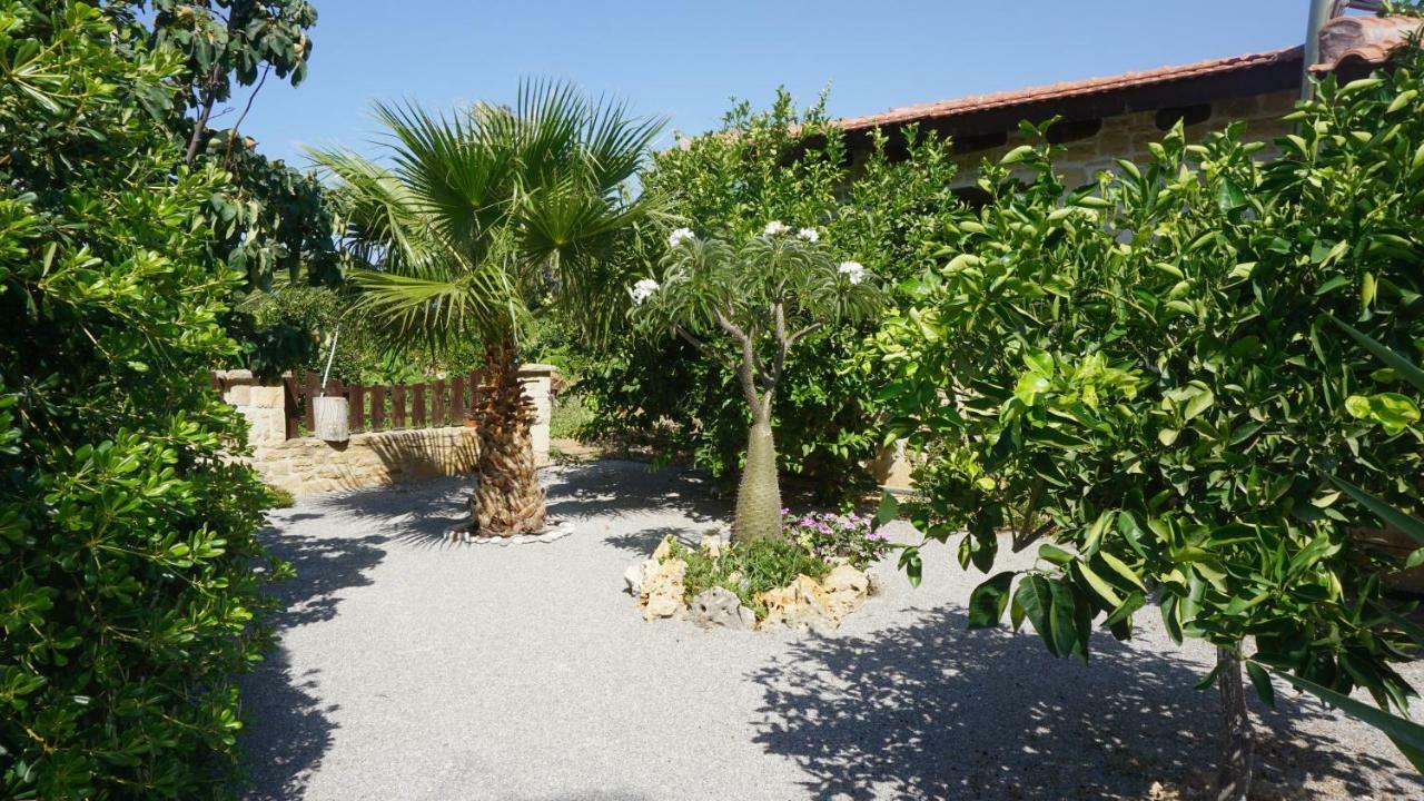 Studio Panagiota - Oasis Holiday Houses Кокинос Пиргос Екстериор снимка